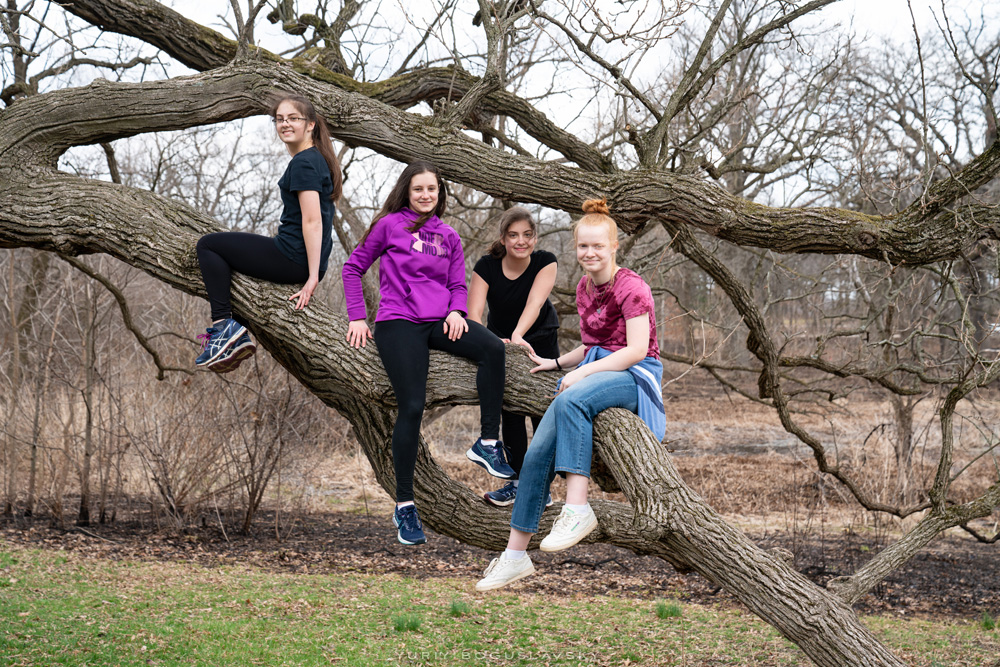 The Quartet in Arboretum