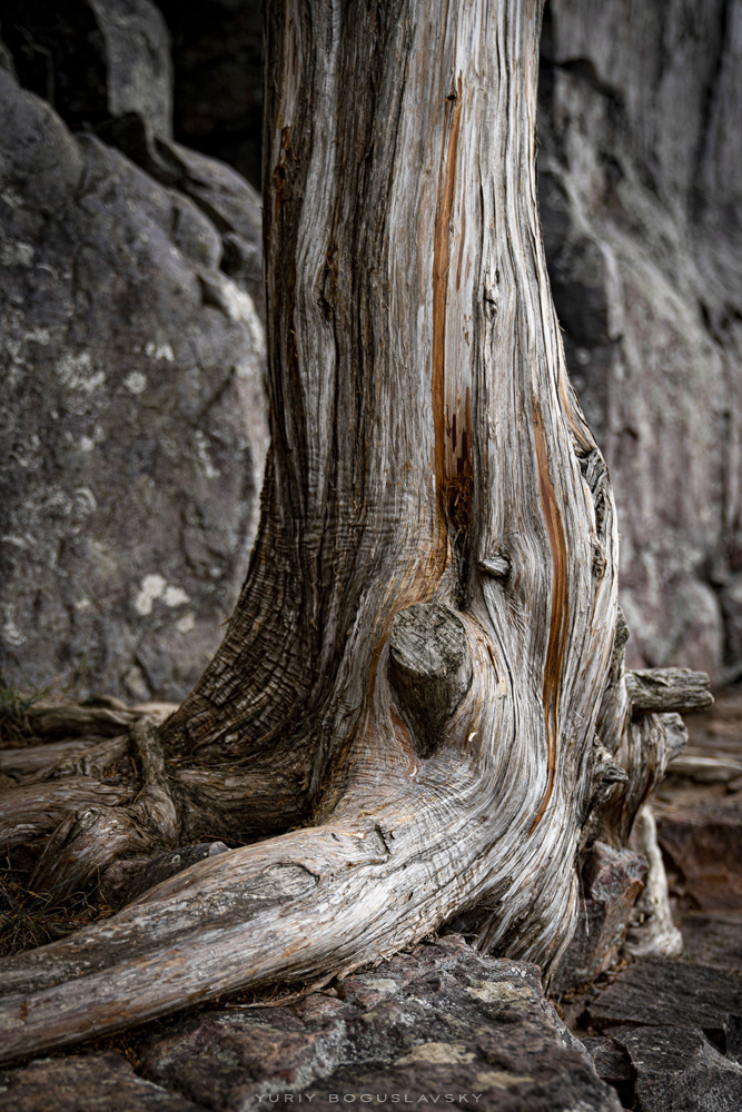 Devil's Lake