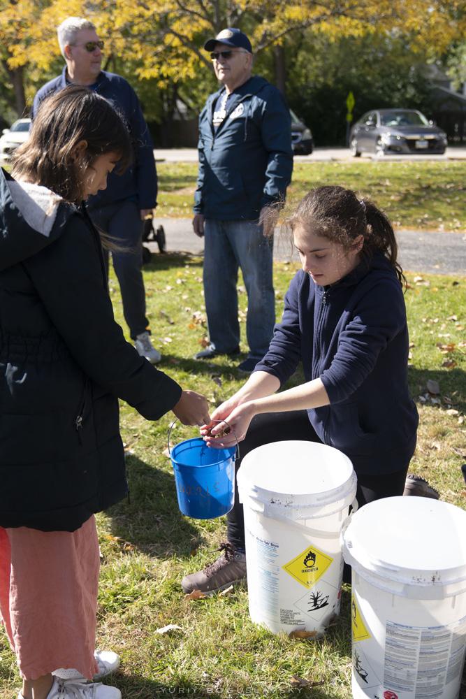 Volunteering at Foxcroft Park