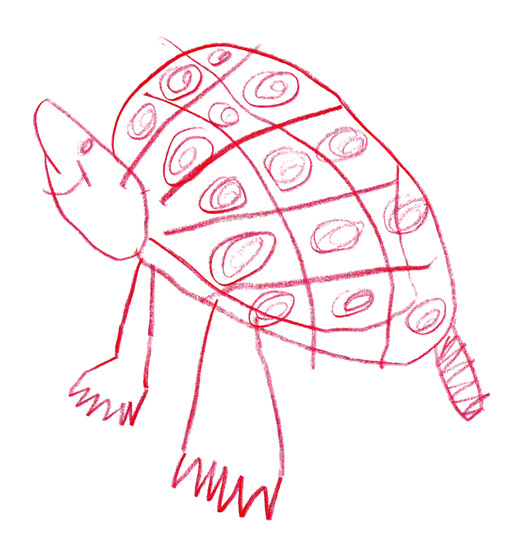 turtle